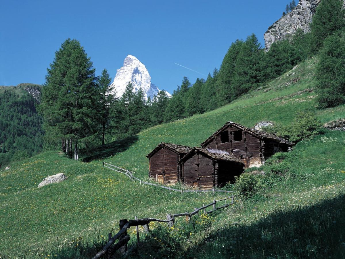 Apartment Kondor By Interhome Zermatt Zewnętrze zdjęcie